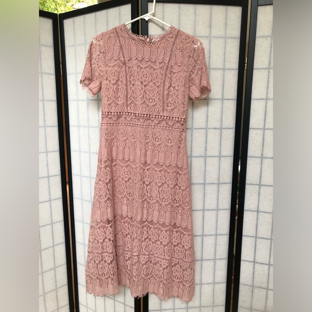 Small Lace Midi Dress in Blush